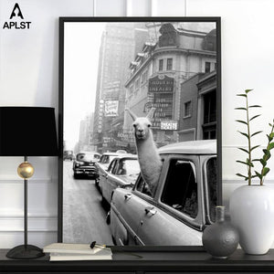 Gute-Laune-Poster: Lama in New York