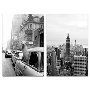 Gute-Laune-Poster: Lama in New York